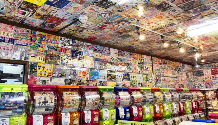 ガチャザウルス 日田店 2 ガチャザウルス 日田店 2